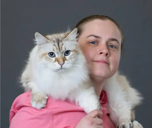 Siberian Cat Size