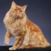 Tennessee Rex